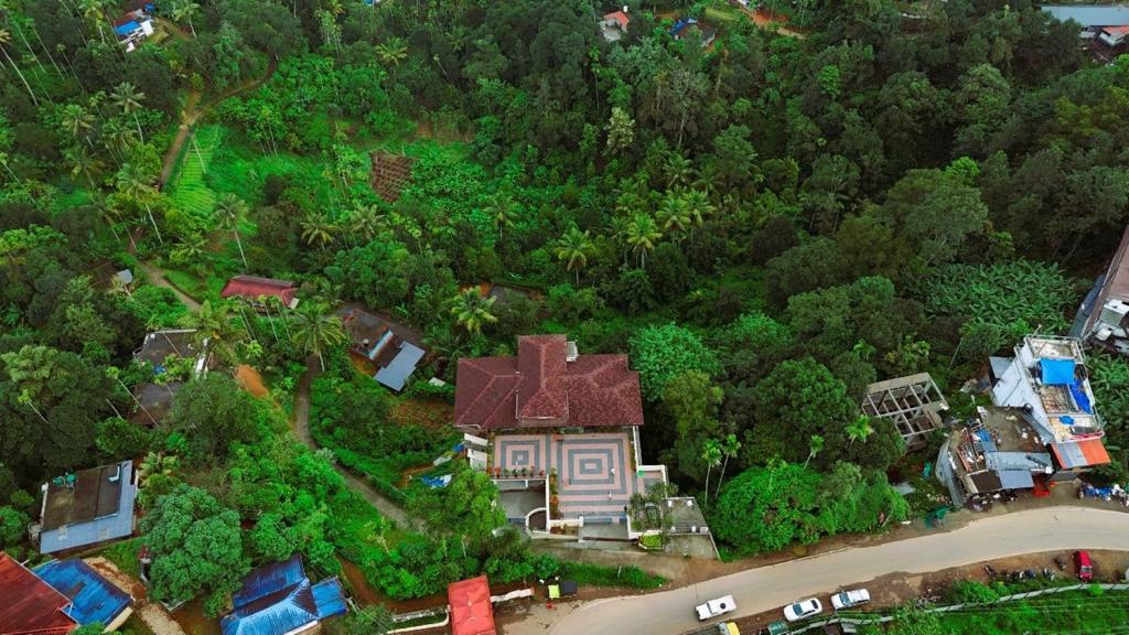 Misty Dale Munnar Resort & Spa x Solis Nature