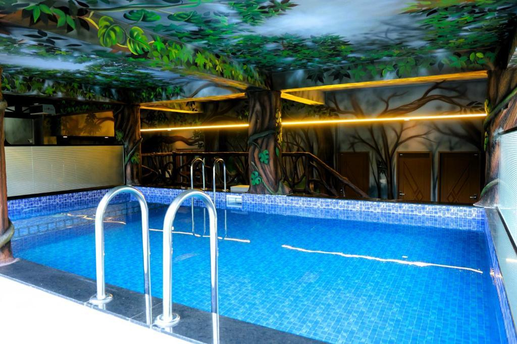 Misty Dale Munnar Resort & Spa x Solis Nature