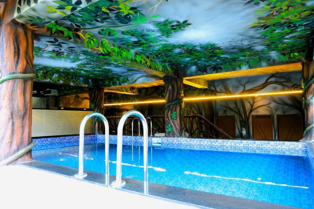 Misty Dale Munnar Resort & Spa x Solis Nature