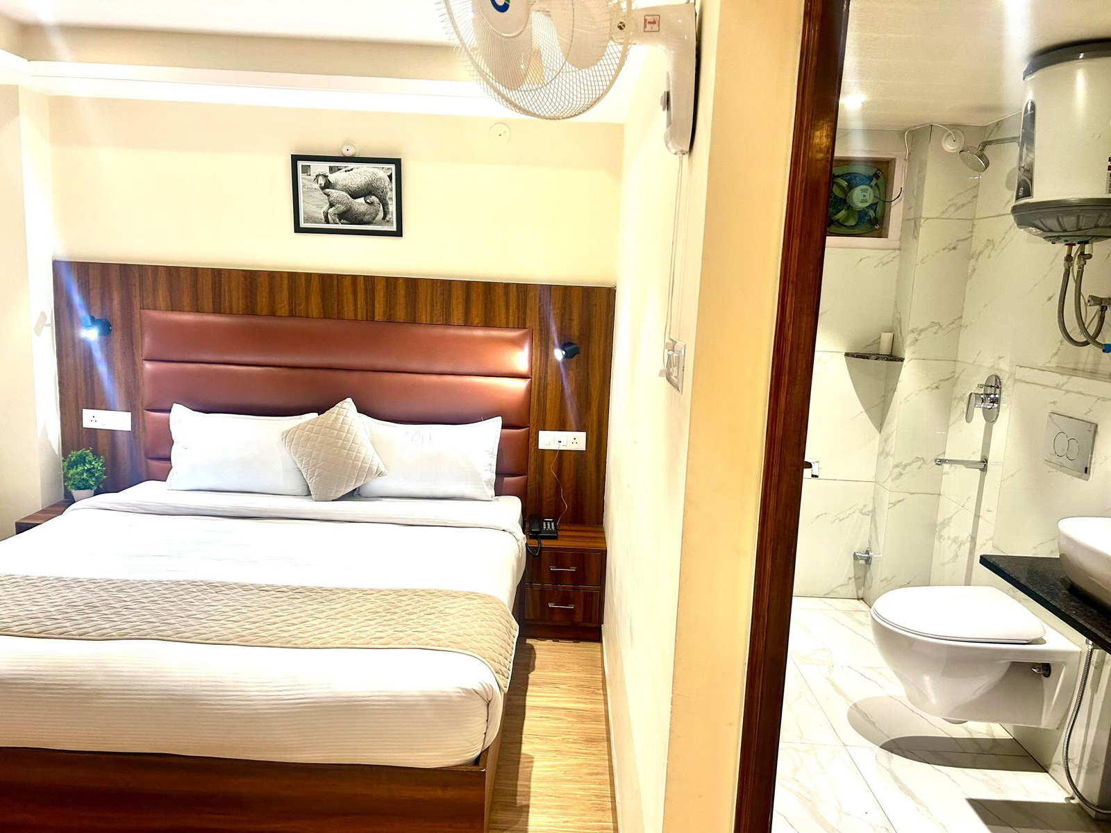 Room Image