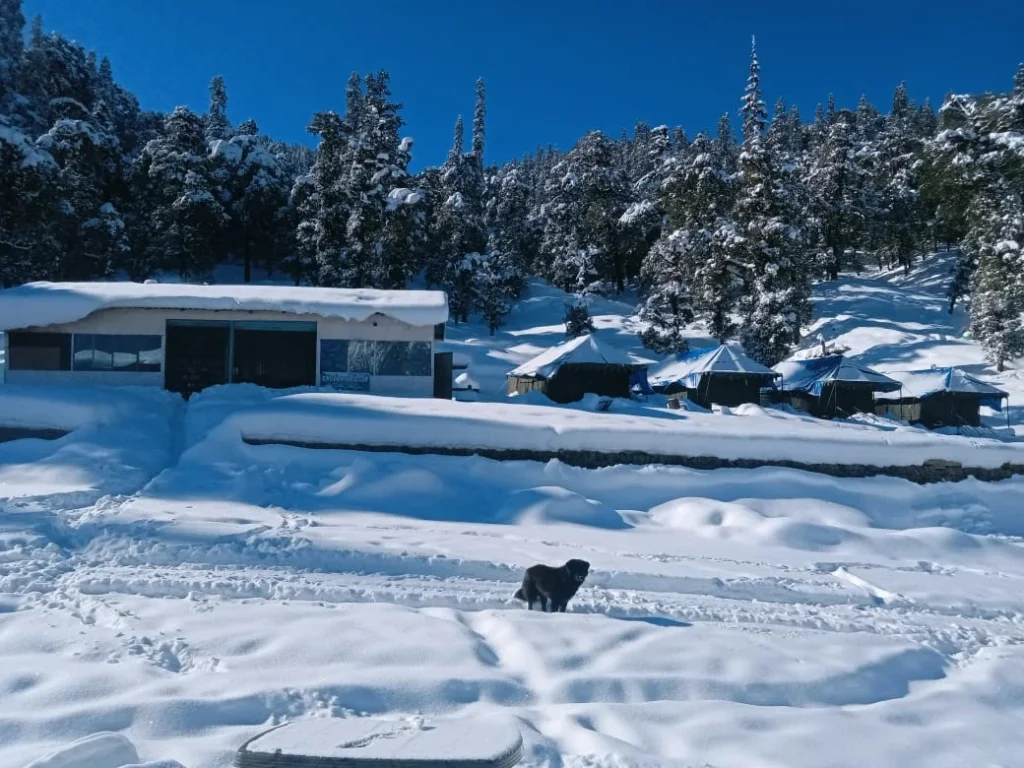 Camping Chopta