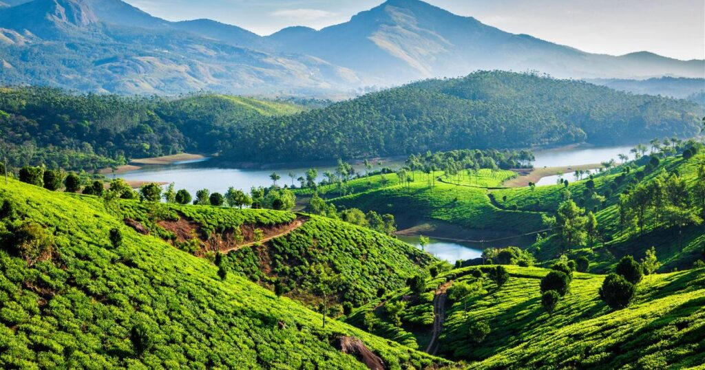 Munnar – Love in the Misty Hills