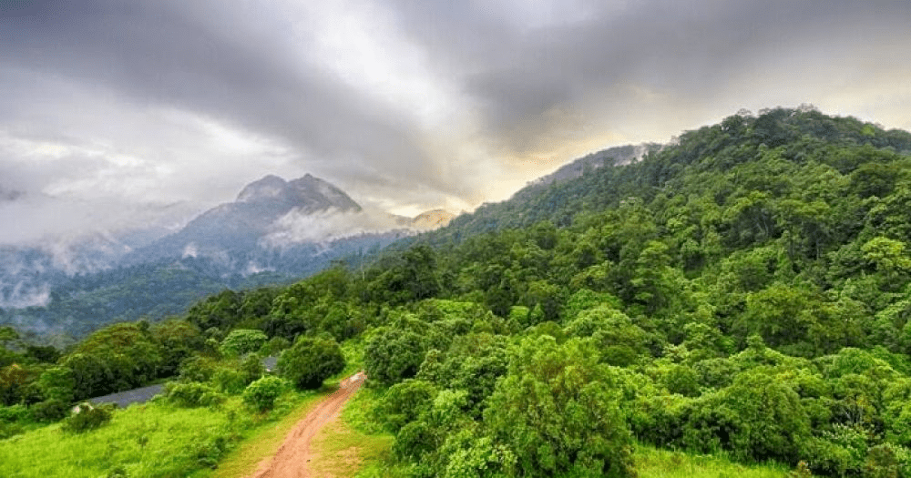 Silent Valley National Park