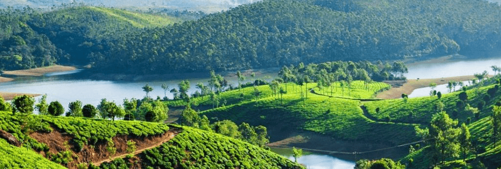 Kerala: Where Romance Meets Nature