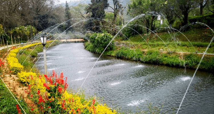Blossom Hydel Park
