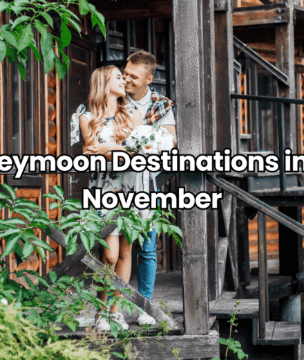 Best Honeymoon Destinations in India for November