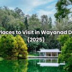 Best Places to Visit in Wayanad