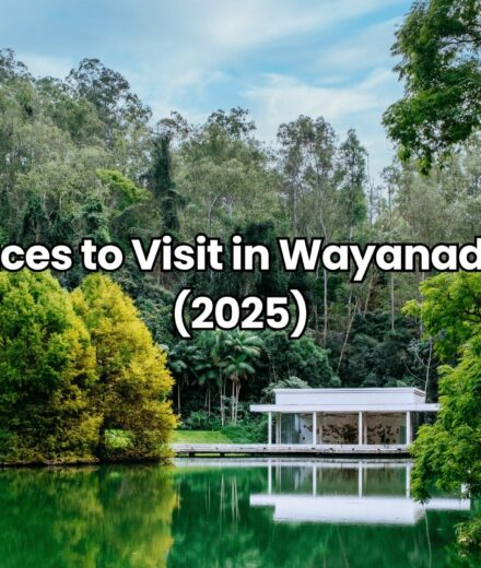 Best Places to Visit in Wayanad