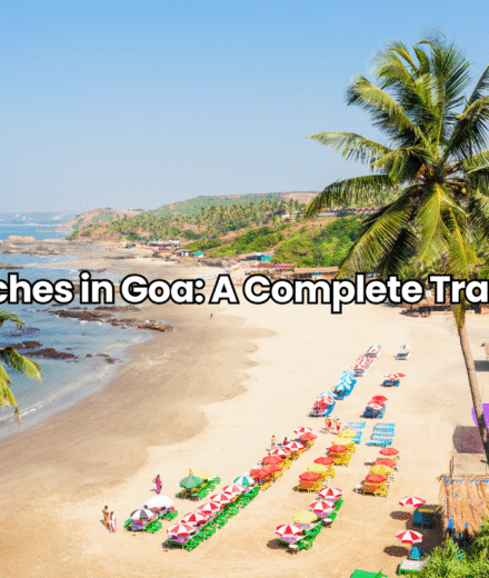 Best Beaches in Goa