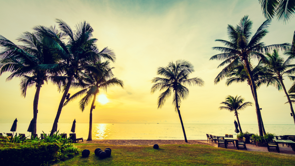 Vagator Beach Goa