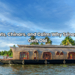 Best places to visit in Srinagar