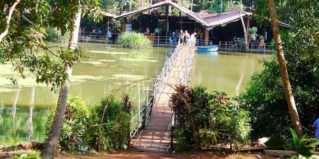 Spice Plantations of Ponda, goa