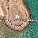 Best Street Food in Delhi: A Flavor Trail Through the Capital