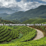 List of Best Places to Visit in Uttarakhand