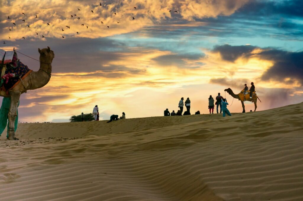 Desert Experiences Near Jodhpur