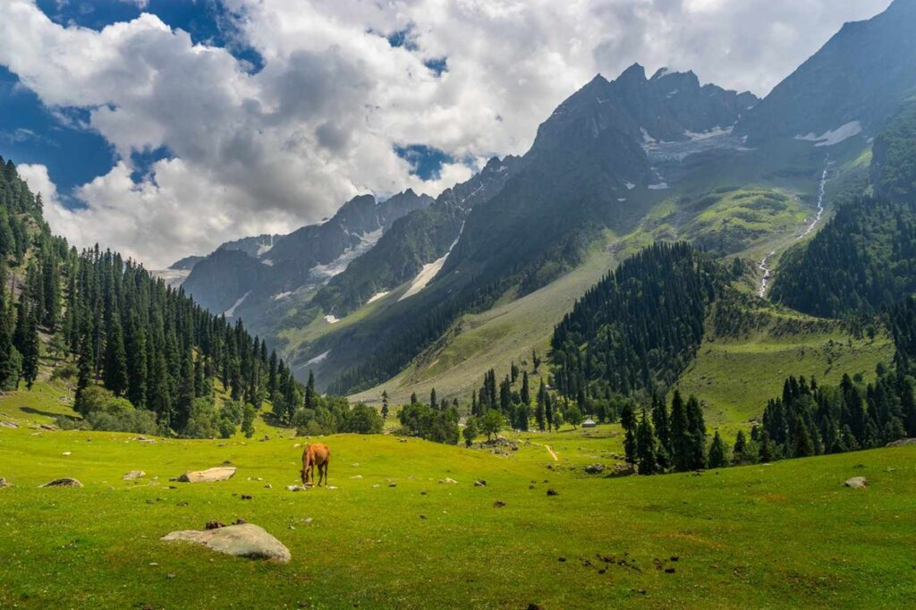 Kashmir Valley