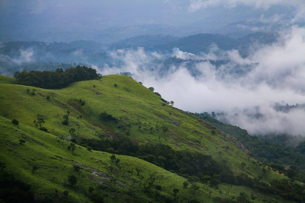 Wayanad kerala