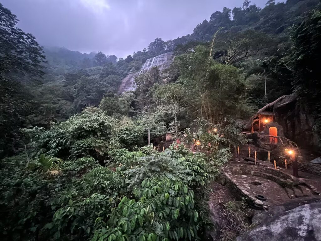 The Wild Mysteries Kerala, pet-friendly stays in India